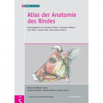 Atlas der Anatomie des Rindes