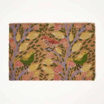 Coir Songbird Entrance Mat by Homescapes – Beige, 40x60cm