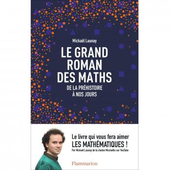Le grand roman des maths: De la prÃ©histoire Ã  nos jours