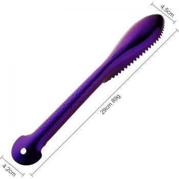 Fish Scale Brush with Stainless Steel Handle