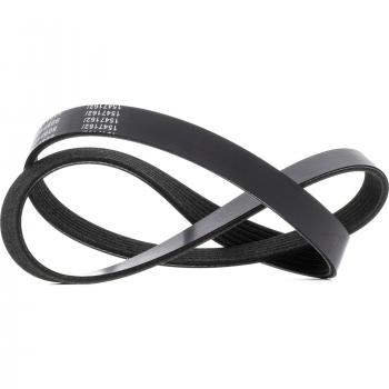 RIDEX Courroie Poly-V pour VW, AUDI, OPEL