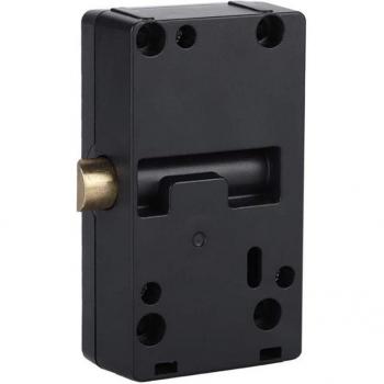 Portail Mosaïc SmartLock 70XG