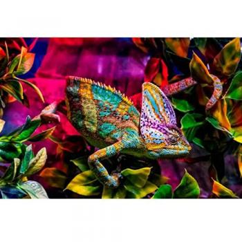 Art Décoratif Caméléon 80x120 cm CEANOTHE
