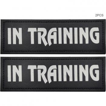Patch de thérapie pour chien