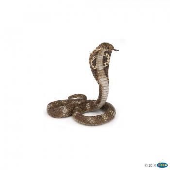 Cobra royal