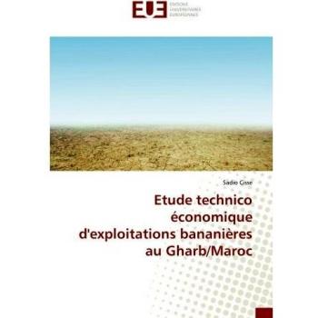 Etude technico économique d'exploitations bananières au Gharb/Maroc