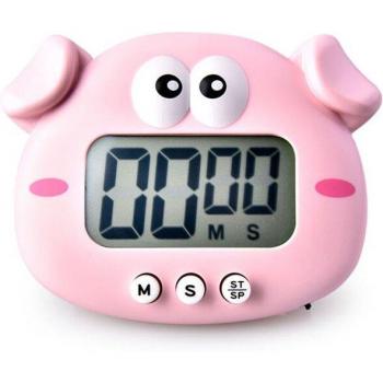 Electronic Countdown Timer