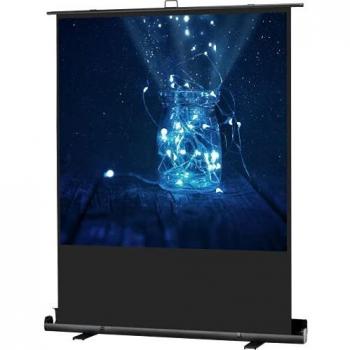 Écran Celexon Mobile Pro Plus 1,2 Gain 160 cm