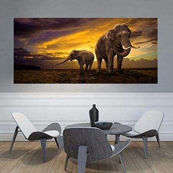 Amanecer Elefante