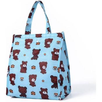 Large Capacity Women's Lunch Bag