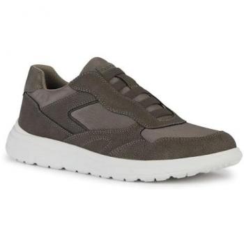 Geox Sneaker Modell Portello