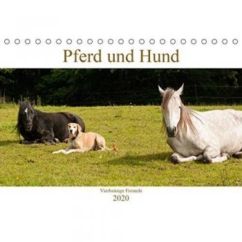 Pferd und Hund