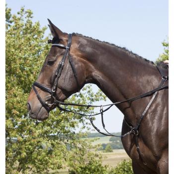 USG Elastic Hunting Breast Plate: Full Size, Martingale Fork, Silver Fittings, Saddlepart Snapples