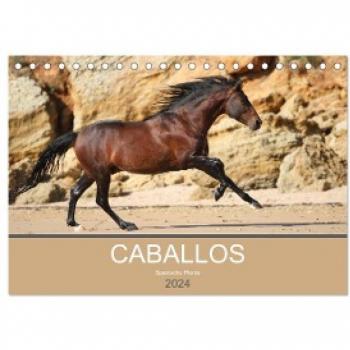 Caballos Spanische Pferde 2024 (Tischkalender 2024 DIN A5 quer) CALVENDO Monatskalender