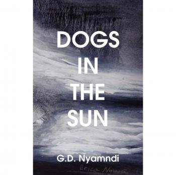 Dogs in the Sun