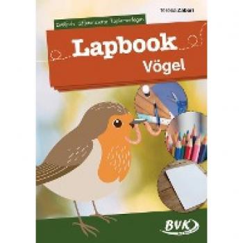 Lapbook Vögel: differenzierte Kopiervorlagen