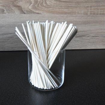 Milieuvriendelijke Lollipop Stokken 100 stuks voor DIY Snoep