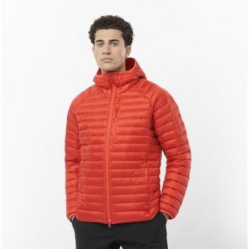Chaqueta de Hombre Salomon Elixir Micro Down con Capucha Roja