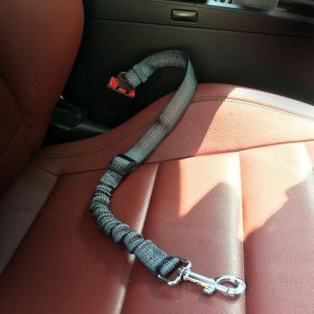 Nylon Dog Car Seat Belt