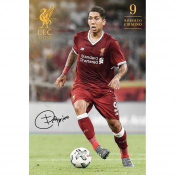 Maxi-Poster 65 × 3,5 × 3,5 cm – Firmino 17/18 Holz