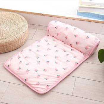 Summer Ice Pad for Pets