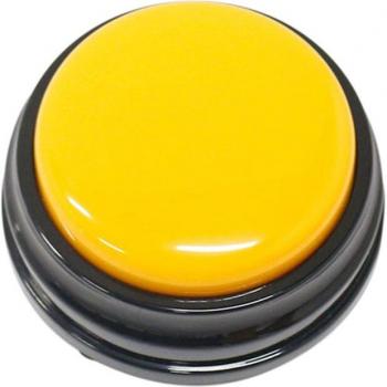 Portable Recording Button