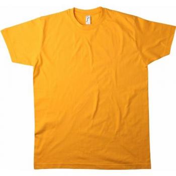 Imperial Shirt von Sol's in Rosa Orquidea