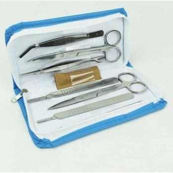 Dissection Scalpel and Needle for Insect Specimens