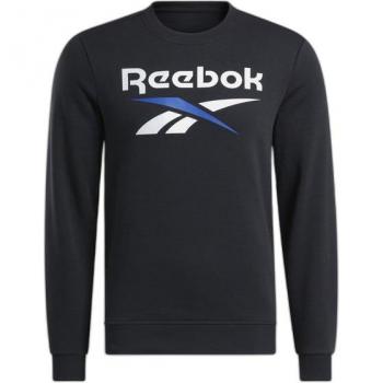 Felpa Reebok Identity Big con cappuccio e tasca