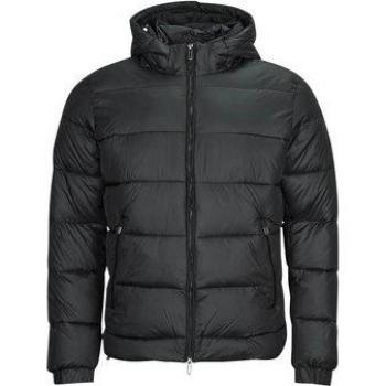 Piumino Teddy Smith B-LESlie 2025 Edition