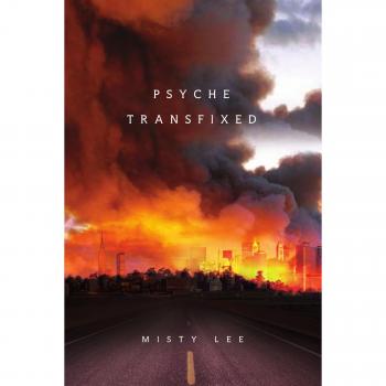 Psyche transfixed paperback