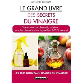 Alix Lefief-Delcourt Le Grand Livre Des Secrets Du Vinaigre