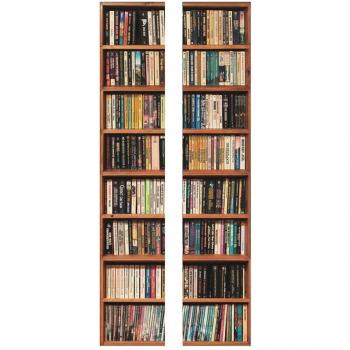 Vintage Bookshelf PVC Door Mural