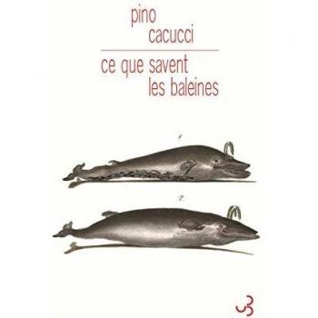 Ce que savent les baleines