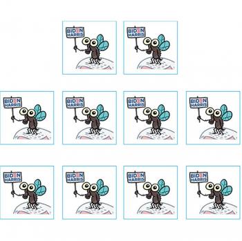 10 Pack Car Window Stickers Truth About Flies