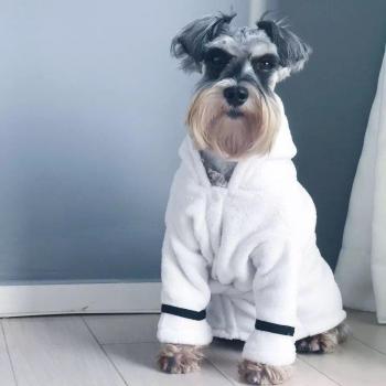 Chihuahua Winter Jacket