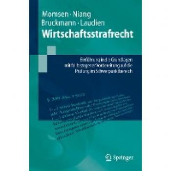 Wirtschaftsstrafrecht