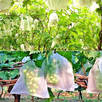 Lote de 100 Bolsas de Protección para Frutas y Verduras