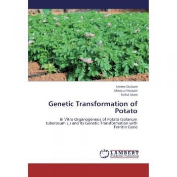 Genetic Transformation of Potato: In Vitro Organogenesis of Potato