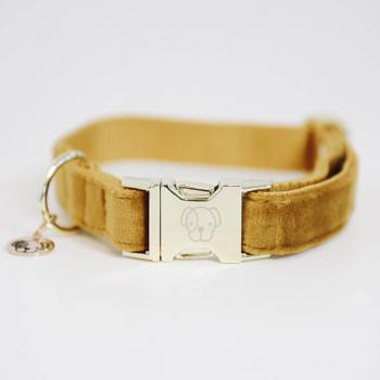 Collier Kentucky Velvet