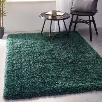 Chicago Shaggy Area Rug