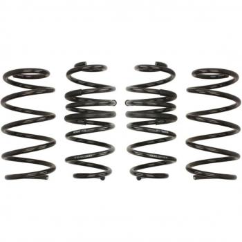 Kit de Molas EIBACH E10-30-020-03-22