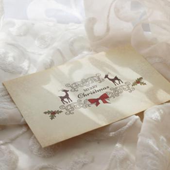 Coloffice Santa Claus and Reindeer Envelopes