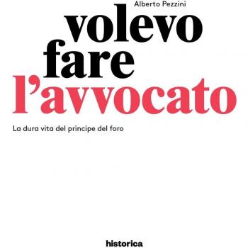 Volevo fare l'avvocato. La dura vita del principe del foro