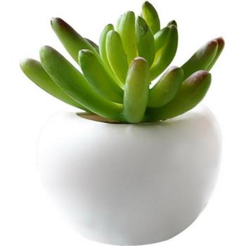 Etiqueta Flor de Nevera