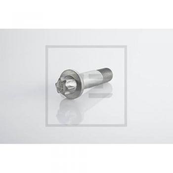 Peters 296.003-00A Vite/Bullone