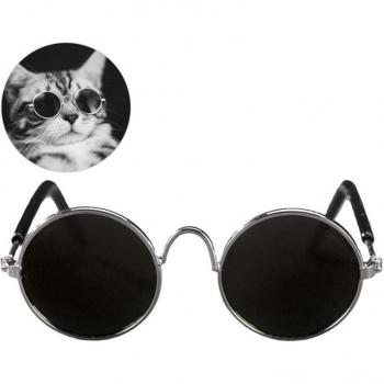 Gafas de Sol Modernas “Pet Vogue”