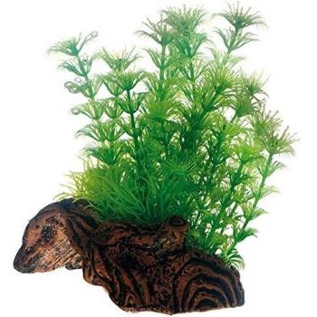Decoración Acuática Flora Root 3 Pequeña 17 cm
