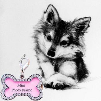 Anti-Lost Dog ID Card Pendant