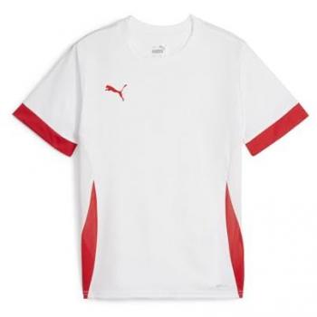 Puma TeamGOAL Junior Wedstrijdkleding